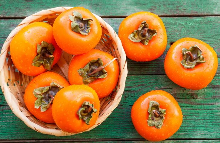 Can Dogs Eat Persimmons: A Complete Guide