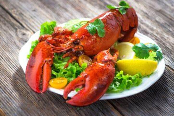 Can Dogs Enjoy the Taste of Lobster? Find Answer Here
