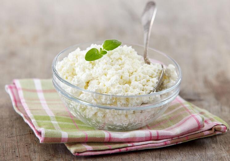 Can Dogs Eat Cottage Cheese? Health Benefits and Risks 