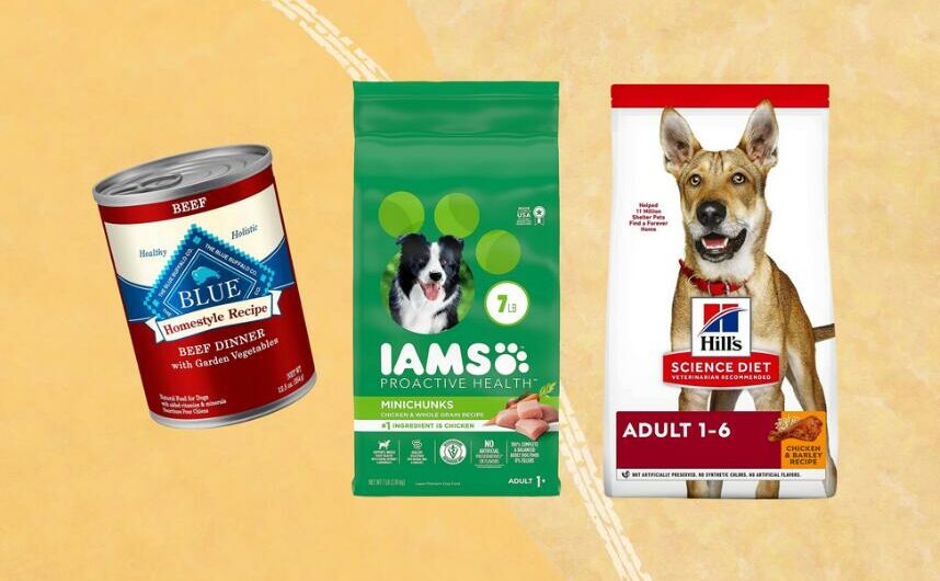22 Dog Food Brands in 2024 Review: Best Dry Dog Foods